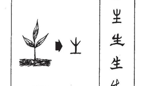 冰糖炒白萝卜功效与禁忌-冰糖炒白萝卜功效网-分享冰糖煮白萝卜的功效，白萝卜加冰糖知识库