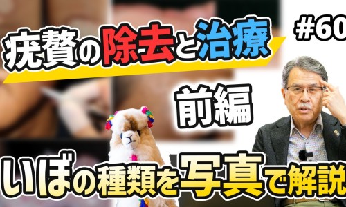 冰糖和白罗卜煮水喝的功效与作用-冰糖炒白萝卜功效网-分享冰糖煮白萝卜的功效，白萝卜加冰糖知识库
